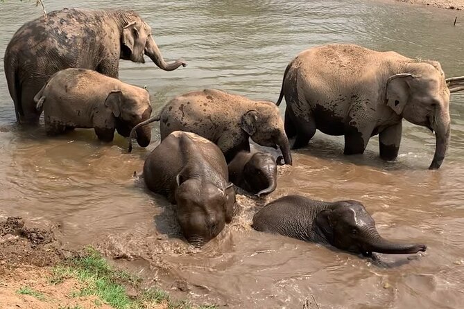 Chiang Mai Elephant Sanctuary, Bamboo Rafting and Waterfall Tour - Bamboo rafting at 8Adventures Camp: a slow finish after the action