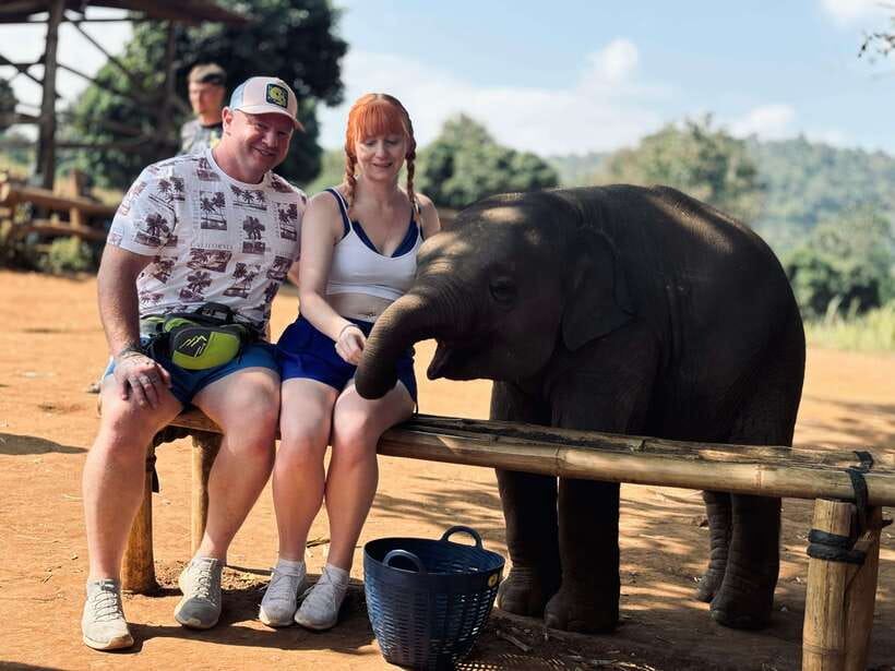 Chiang Mai: Elephant Sanctuary Feeding Program Half-Day Tour - Key moments you should look for