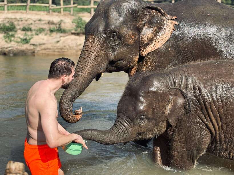Chiang Mai: Elephant Sanctuary Feeding Program Half-Day Tour - The station format: photos happen, but the day isn’t a photo line
