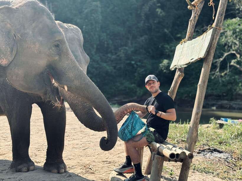 Chiang Mai: Elephant Sanctuary Feeding Program Half-Day Tour - River time: swimming and bathing, elephant-led and weather-dependent