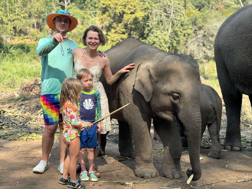 Chiang Mai: Elephant Sanctuary Feeding Program Half-Day Tour - A balanced take: the best part and the trade-off
