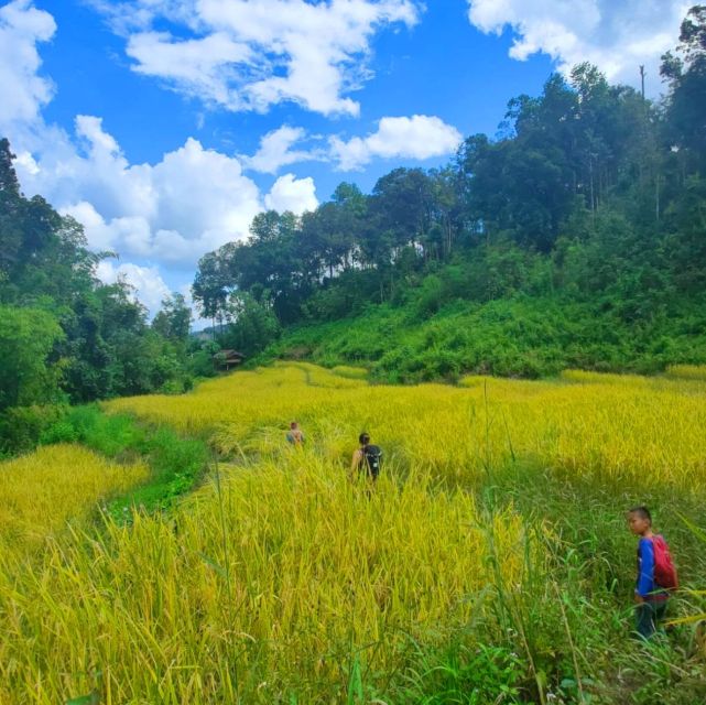 Chiang Mai: Elephant Sanctuary & Jungle Trek w/ Waterfall - A one-day mix of rescue elephants, Mae Wang rafting, and a waterfall swim