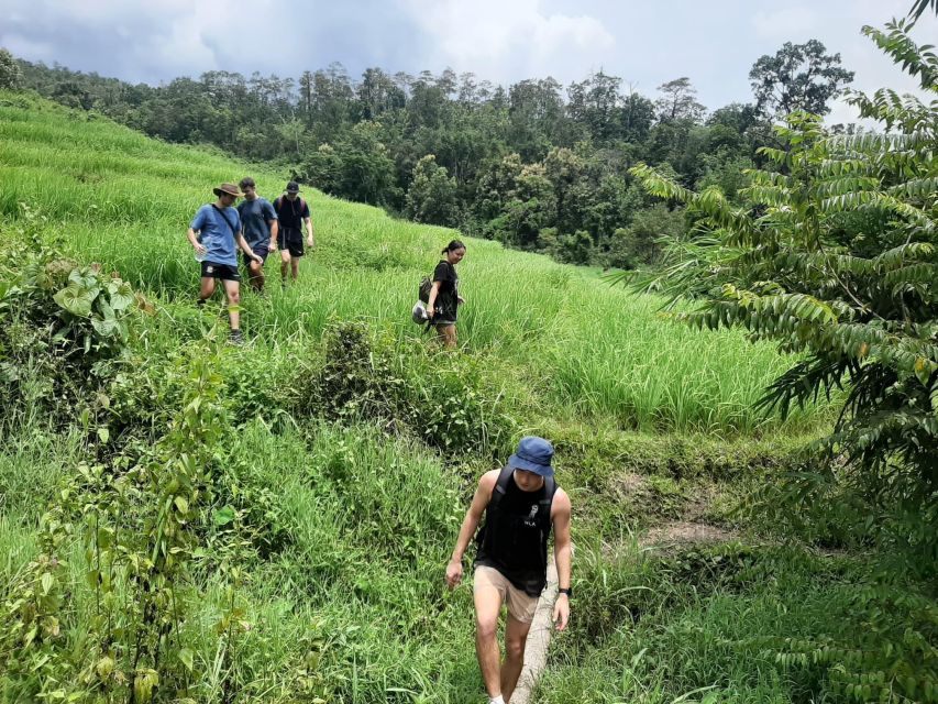 Chiang Mai: Elephant Sanctuary & Jungle Trek w/ Waterfall - Inside the elephant sanctuary: feeding, bathing, and respectful learning