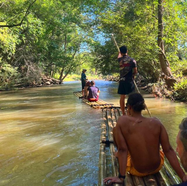 Chiang Mai: Elephant Sanctuary & Jungle Trek w/ Waterfall - The jungle trek to Mae Wang Waterfall: short hike, real payoff