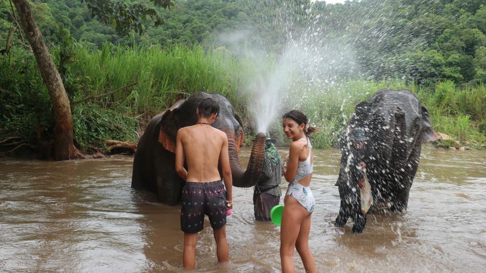 Chiang Mai: Elephant Sanctuary & Jungle Trek w/ Waterfall - Wildlife viewing and the final ride back to Chiang Mai