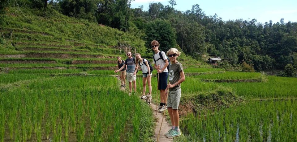 Chiang Mai: Elephant Sanctuary & Jungle Trek w/ Waterfall - Price and value: is $61 a good deal?
