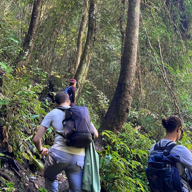 Chiang Mai: Elephant Sanctuary & Jungle Trek w/ Waterfall - What to bring (and what can ruin your day)