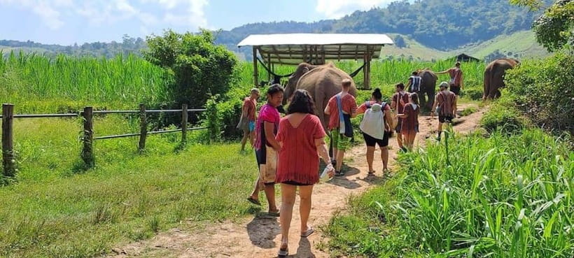 Chiang Mai: Elephant Sanctuary Local Hill Tribe Caretakers - Key things to know before you go