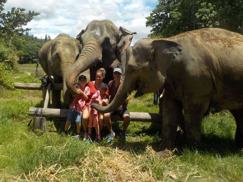 Chiang Mai: Elephant Sanctuary Local Hill Tribe Caretakers - Elephant care at the camp: feeding, walking, and mud-and-river time