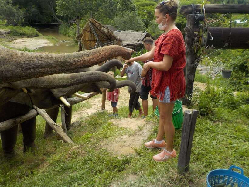 Chiang Mai: Elephant Sanctuary Local Hill Tribe Caretakers - The care-focused rhythm: how to be a good guest without fuss
