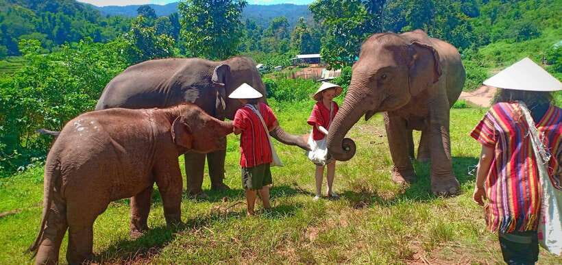 Chiang Mai: Elephant Sanctuary Local Hill Tribe Caretakers - Mae Wang Waterfall hike: a simple 1-hour reset in the forest