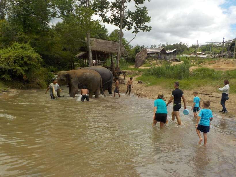 Chiang Mai: Elephant Sanctuary Local Hill Tribe Caretakers - Who should book this, and who should skip it