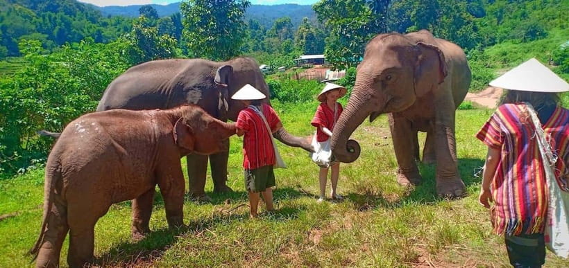 Chiang Mai: Elephant Sanctuary Local Hill Tribe Caretakers - Getting to Johnny Boy Treks: timing that affects your whole day