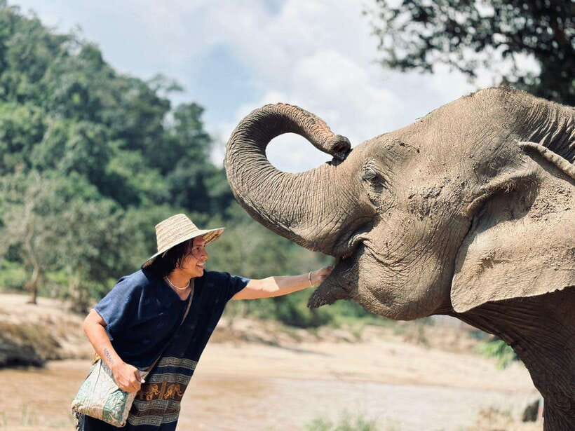 Chiang Mai: Elephant Sanctuary, Long Neck & Sticky Waterfall - Key Things to Know Before You Go