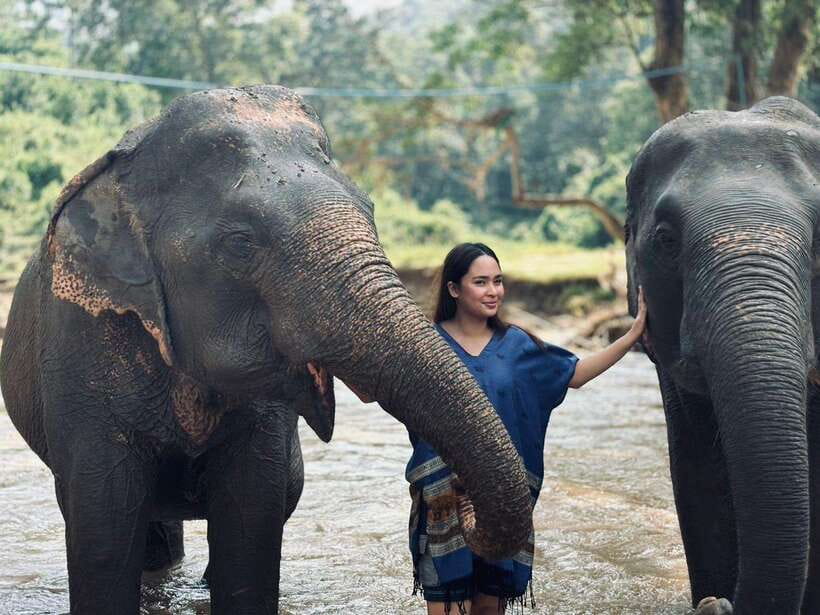 Chiang Mai: Elephant Sanctuary, Long Neck & Sticky Waterfall - From Hotel Pickup to a Private Sanctuary: Chiang Mai Logistics That Matter