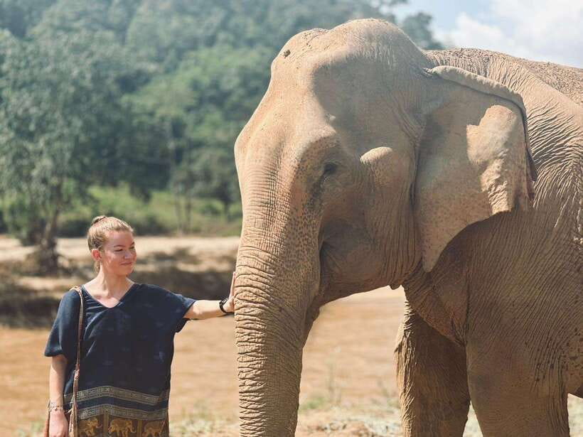 Chiang Mai: Elephant Sanctuary, Long Neck & Sticky Waterfall - River Bathing: What the Elephant Water Time Feels Like