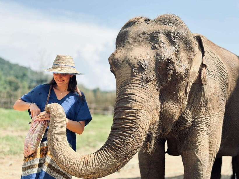 Chiang Mai: Elephant Sanctuary, Long Neck & Sticky Waterfall - How the Guide Changes the Entire Day