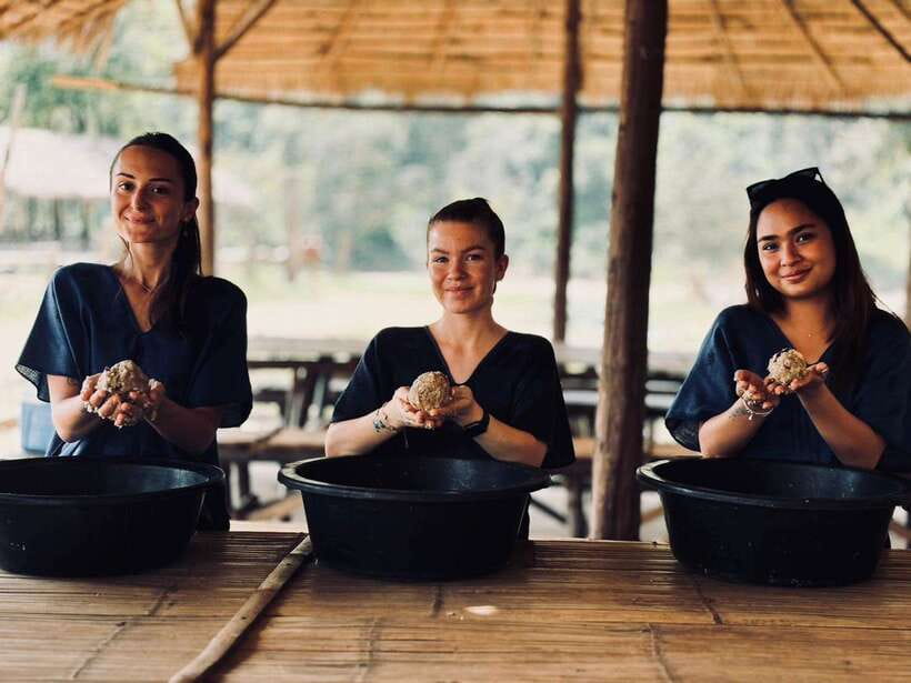 Chiang Mai: Elephant Sanctuary, Long Neck & Sticky Waterfall - Price and Value: Why $63 Can Still Feel Like a Deal