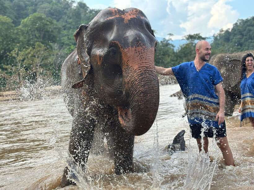 Chiang Mai: Elephant Sanctuary, Long Neck & Sticky Waterfall - Ethics, Elephant Contact, and What You Should Expect