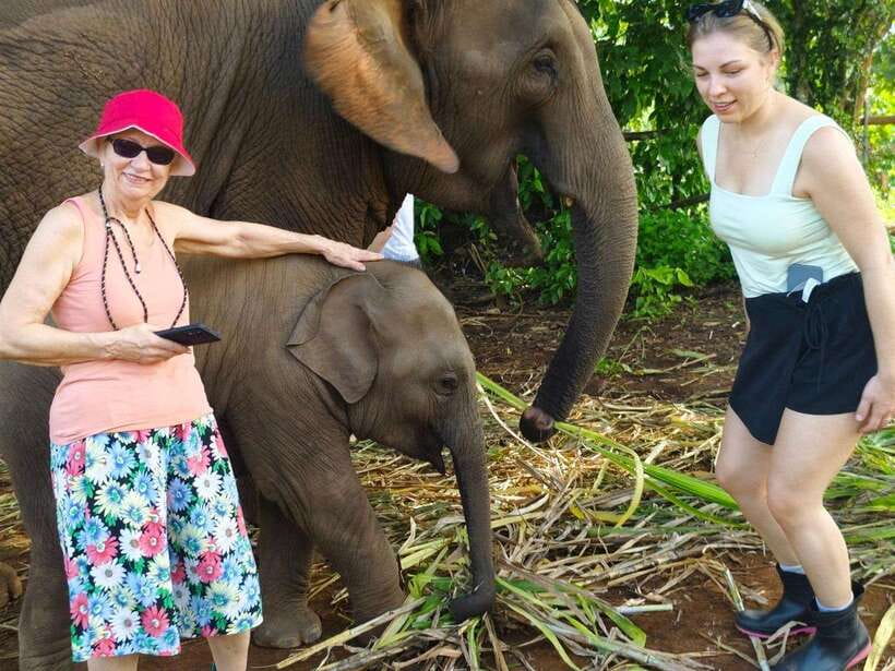 Chiang Mai: Elephant Sanctuary, Monk Trail & Doi Suthep Tour - Wat Pha Lat monk trail: forest temple calm with real footing