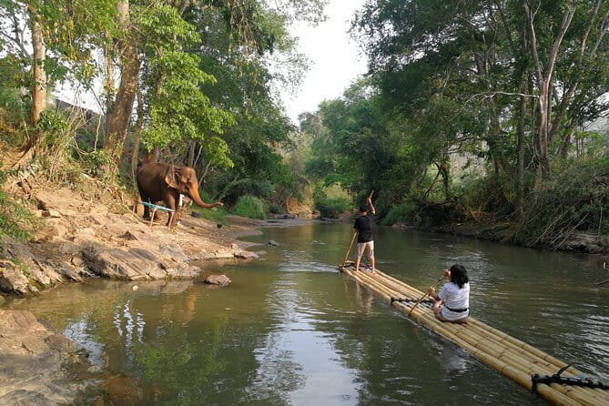 Chiang Mai Elephant Sanctuary Observation and Bamboo Rafting - Mae Win Bamboo Rafting on the Wang River (1 Hour of Scenic Calm)