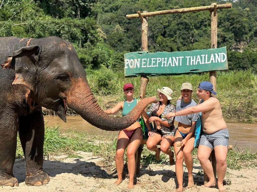 Chiang Mai: Elephant Sanctuary, Waterfall & Bamboo Rafting - Chiang Mai pick-up and the drive into Mae Wang country