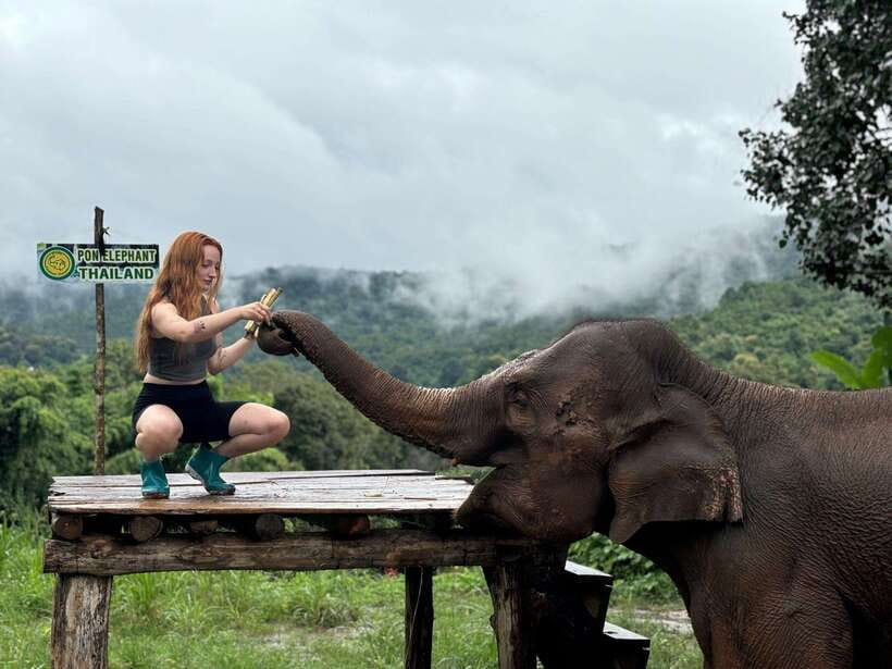 Chiang Mai: Elephant Sanctuary, Waterfall & Bamboo Rafting - Mae Wang Waterfalls: swim time and a real heat reset