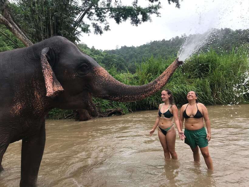 Chiang Mai: Elephant Sanctuary & Waterfall Group Tour - Final call: should you book this elephant sanctuary and waterfall tour?