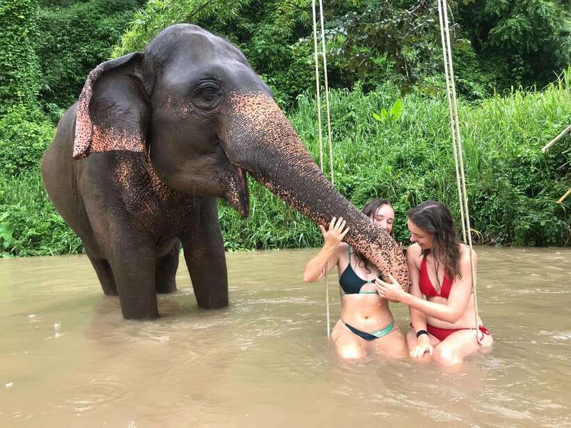 Chiang Mai: Elephant Sanctuary & Waterfall Group Tour - Getting to Pon Elephant Thailand from Chiang Mai without feeling rushed