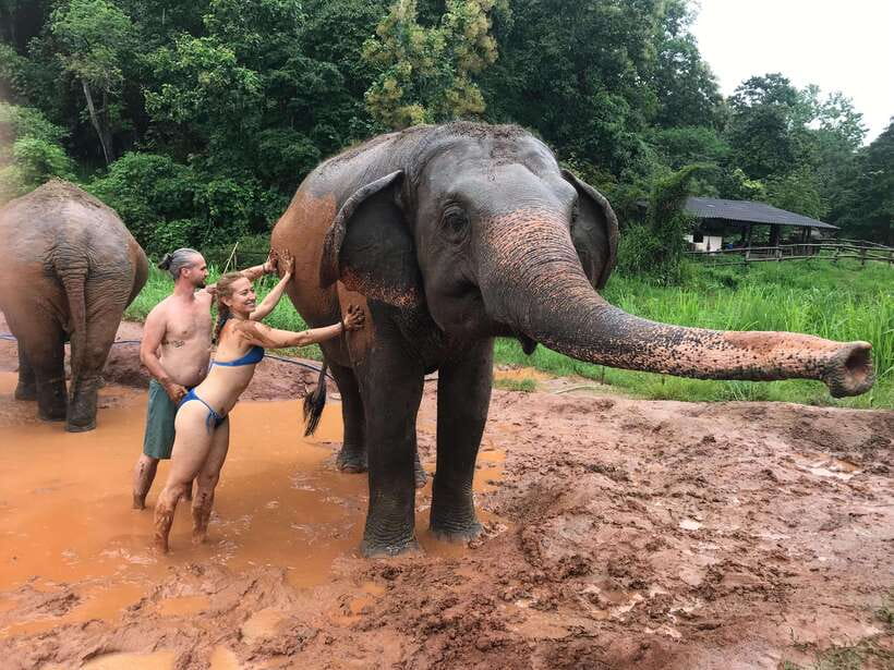 Chiang Mai: Elephant Sanctuary & Waterfall Group Tour - Mae Wang Waterfall: jungle hike, a real swim option, and rain-day flexibility