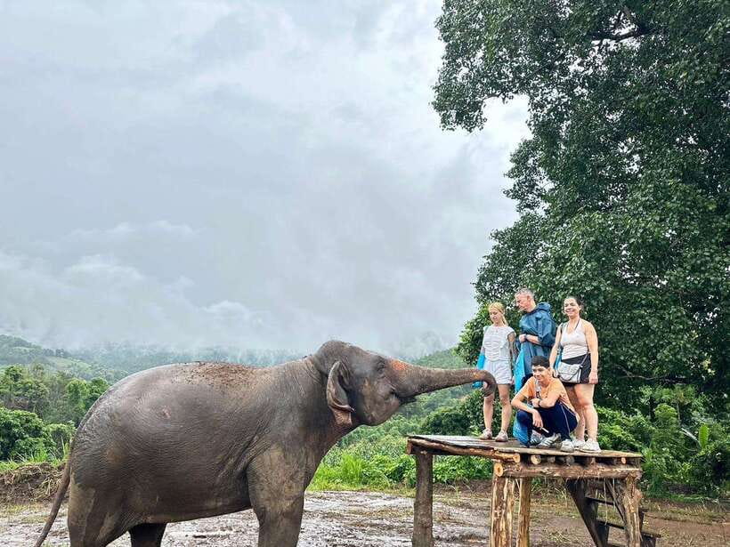 Chiang Mai: Elephant Sanctuary & Waterfall Group Tour - Price and value: why $50 can make sense for a full day