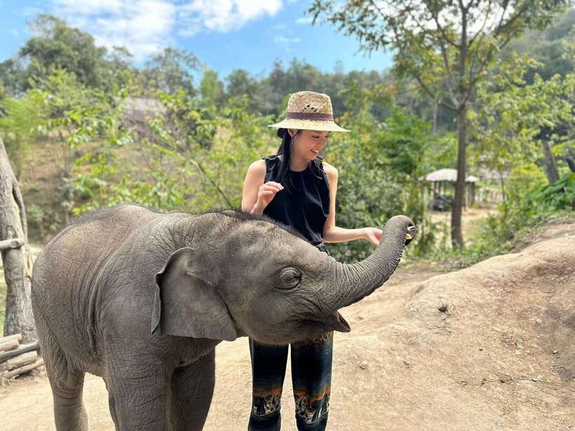 Chiang Mai: Elephant Sanctuary & Waterfall Group Tour - Group dynamic and timing: what it feels like as a day trip