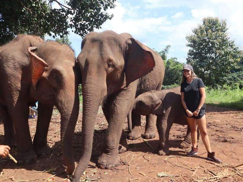 Chiang Mai: Elephant Sanctuary & Waterfall Group Tour - How the sanctuary works: feeding, touching, and watching elephant families