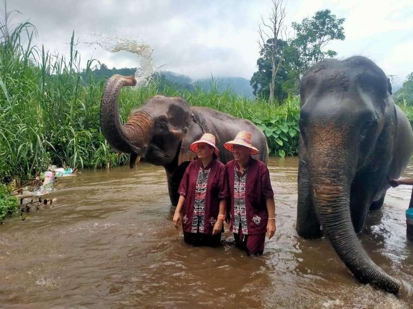 Chiang Mai: Elephants, Sticky Waterfalls, Market and Temple - Key Highlights You Should Actually Care About