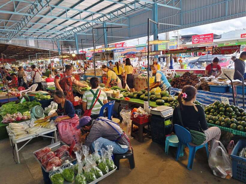 Chiang Mai: Elephants, Sticky Waterfalls, Market and Temple - The Big Picture: A Full-Day Chiang Mai Mix That Makes Sense