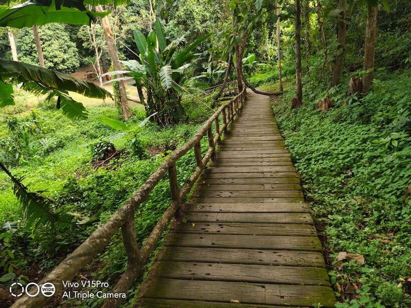 Chiang Mai: Elephants, Sticky Waterfalls, Market and Temple - Countryside Roads: The Scenic Parts You Don’t Plan Alone