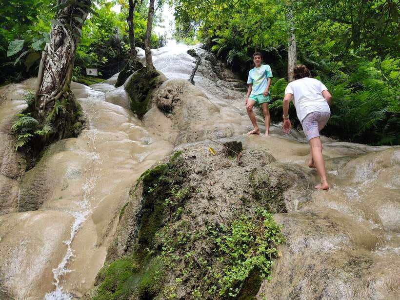 Chiang Mai: Elephants, Sticky Waterfalls, Market and Temple - Timing, Pace, and Why Your Guide Matters