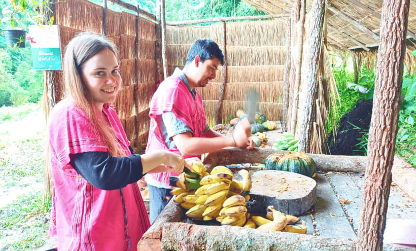 Chiang Mai: Ethical Half Day Elephant Sanctuary & Waterfall - Key highlights you’ll actually care about