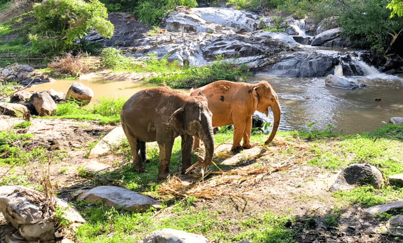 Chiang Mai: Ethical Half Day Elephant Sanctuary & Waterfall - Entering the ethical zone outside Chiang Mai (and why that matters)
