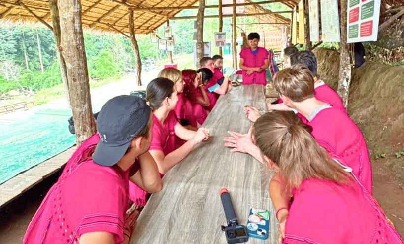 Chiang Mai: Ethical Half Day Elephant Sanctuary & Waterfall - The main event: feeding and walking beside the herd
