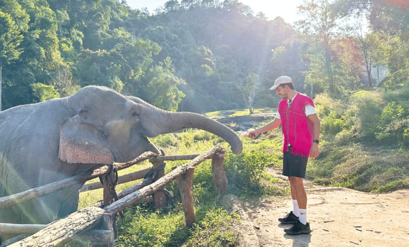 Chiang Mai: Ethical Half Day Elephant Sanctuary & Waterfall - Waterfall time: tea, cooling down, and no elephant bathing