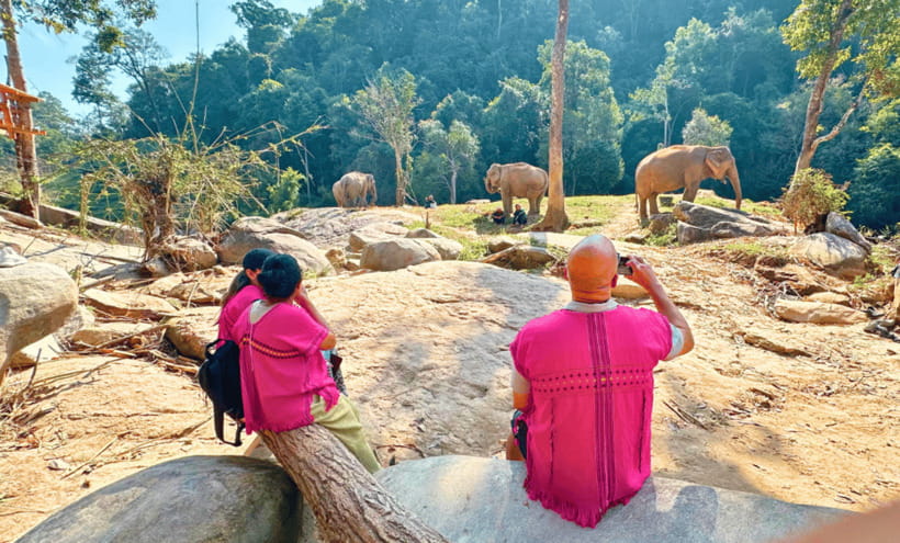 Chiang Mai: Ethical Half Day Elephant Sanctuary & Waterfall - Lunch that keeps the rhythm going