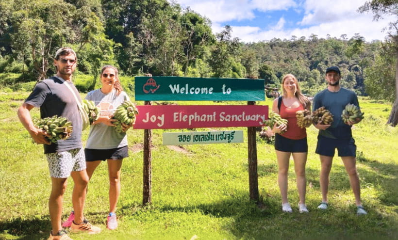 Chiang Mai: Ethical Half Day Elephant Sanctuary & Waterfall - The drive to Mae Wang: plan for time, not just distance