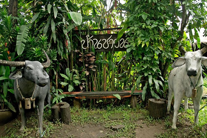 Chiang Mai Farm Life & Khao Soy Tasting on a Half-Day Boat Tour - The 45-minute Mae Ping River cruise: what you’ll actually see