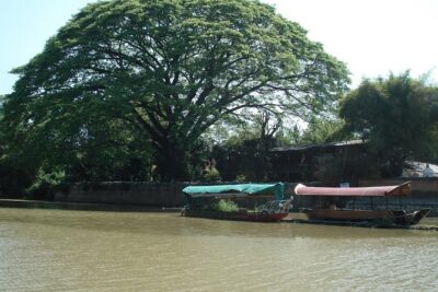 Chiang Mai Farm Life & Khao Soy Tasting on a Half-Day Boat Tour - Farm Life and Herb Gardens: jasmine rice, medicinal plants, and fruit tastings