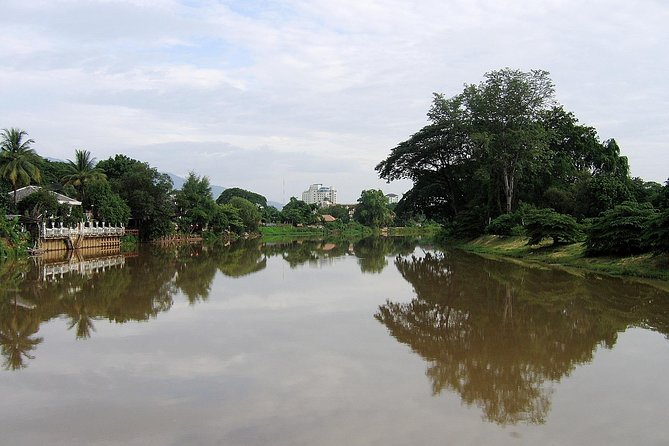 Chiang Mai Farm Life & Khao Soy Tasting on a Half-Day Boat Tour - English-speaking assistance vs. a true guided tour: how to make it work
