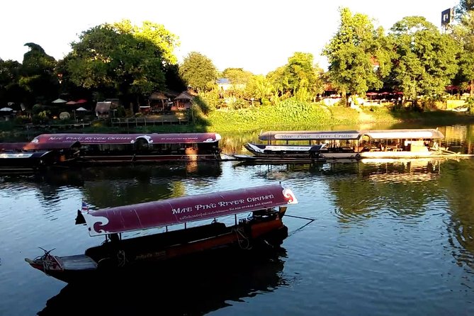 Chiang Mai Farm Life & Khao Soy Tasting on a Half-Day Boat Tour - Price and value: why $19 can feel like a smart deal