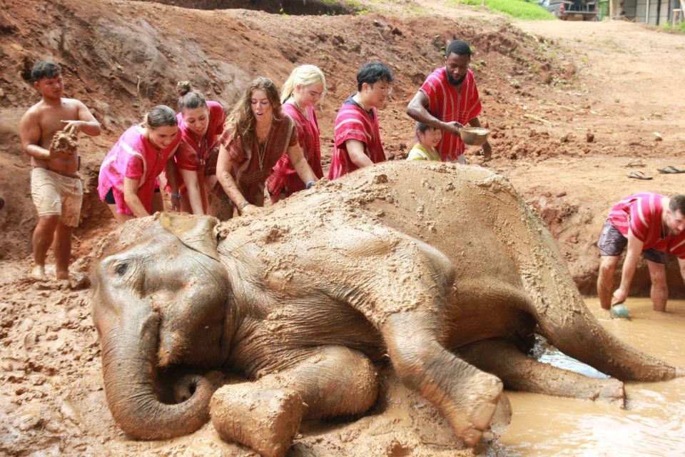 Chiang Mai: Full-Day Kerchor Elephant Eco Park Tour & Trek - Key things that make this tour worth your time