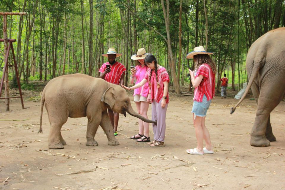 Chiang Mai: Full-Day Kerchor Elephant Eco Park Tour & Trek - Bananas, bathing, and elephant social time without riding