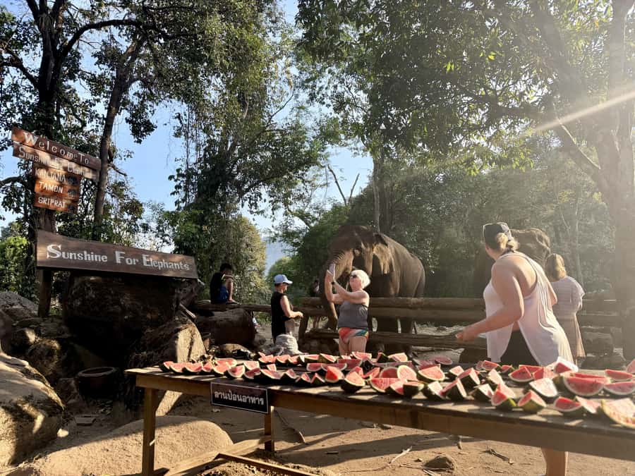 Chiang Mai Half-Day Adventure: River Tubing & Waterfall - Price and Value: What $62 Covers, and Why It Feels Fair